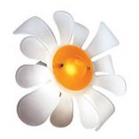 бра Flower 35 бра Flower 35